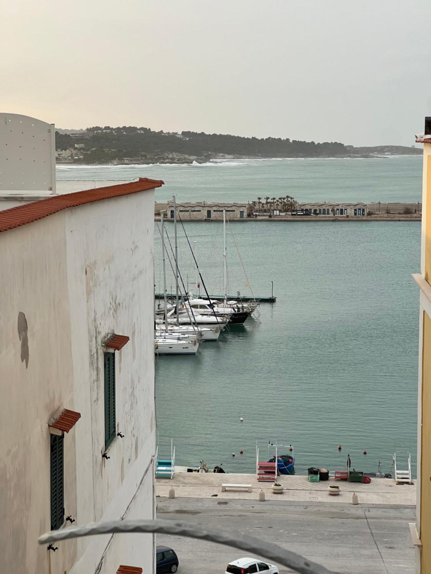 North Wind Luxury Home Vieste Exterior foto
